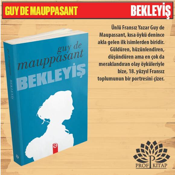 Dünya Klasikleri (SET 4) 4 Kitap