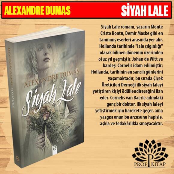 En Etkileyici Bestseller Set 1 (4 Kitap)