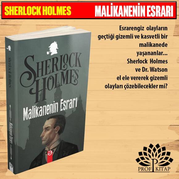 Sherlock Holmes Seti (4 Kitap)