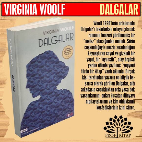 Vırgınıa Woolf Seti (4 Kitap)