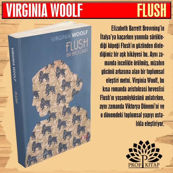 Vırgınıa Woolf Seti (4 Kitap)